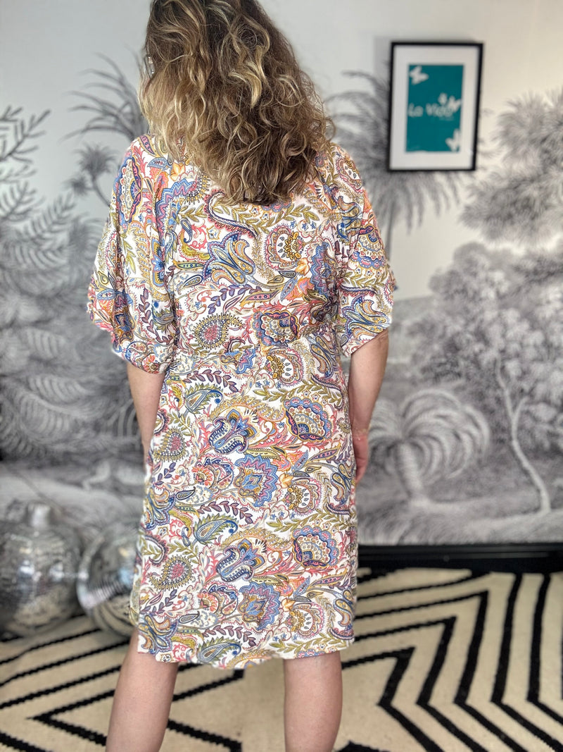 Luna Raglan Sleeve Short Dress in Summer Garden