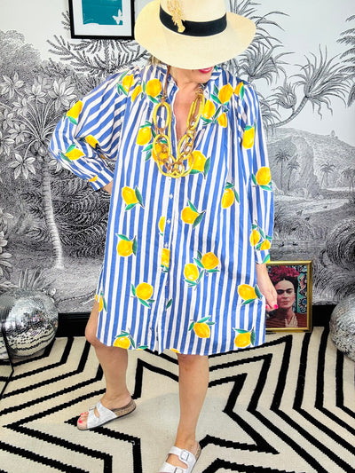 Lettie Lemon Stripe Mini Shirt Dress
