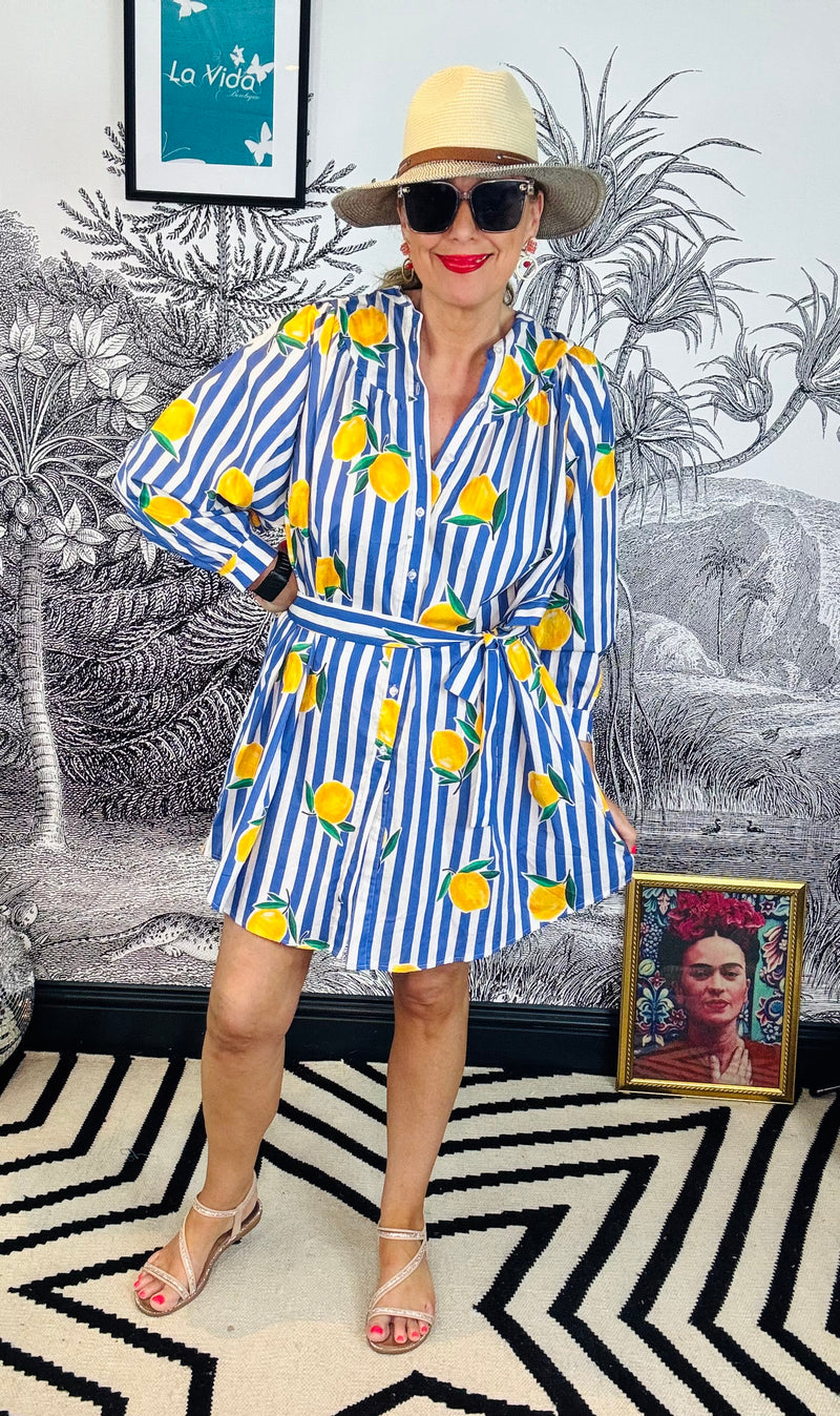 Lettie Lemon Stripe Mini Shirt Dress