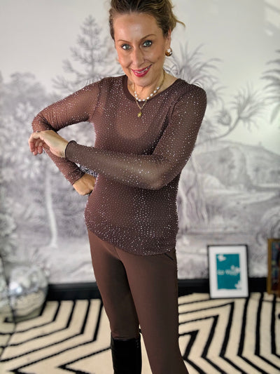 Alexis Sparkle Stone Mesh Top in Coffee Brown