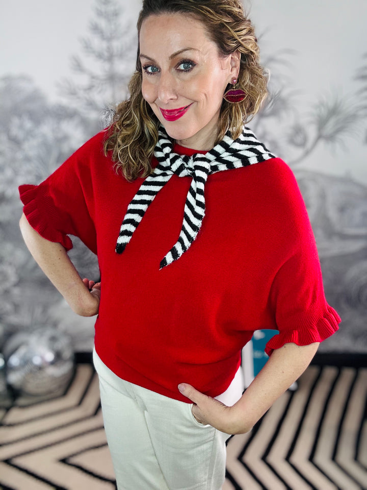 Dina Batwing Frill Sleeve Jumper