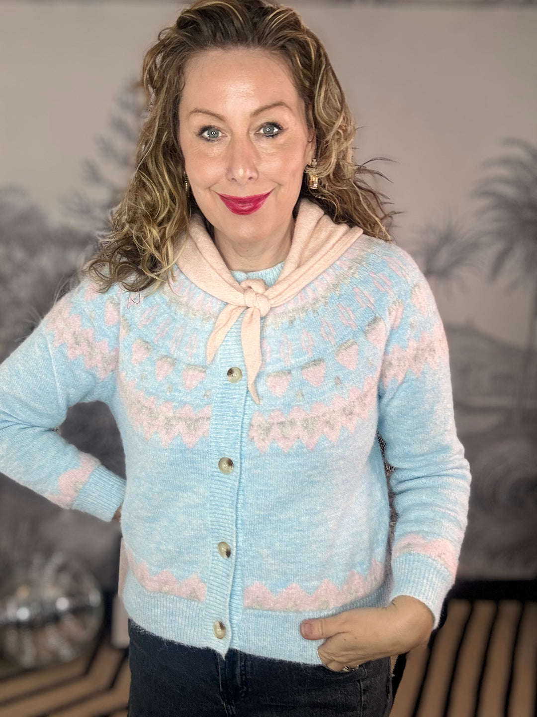 Robin Fairisle Knit Cardigan