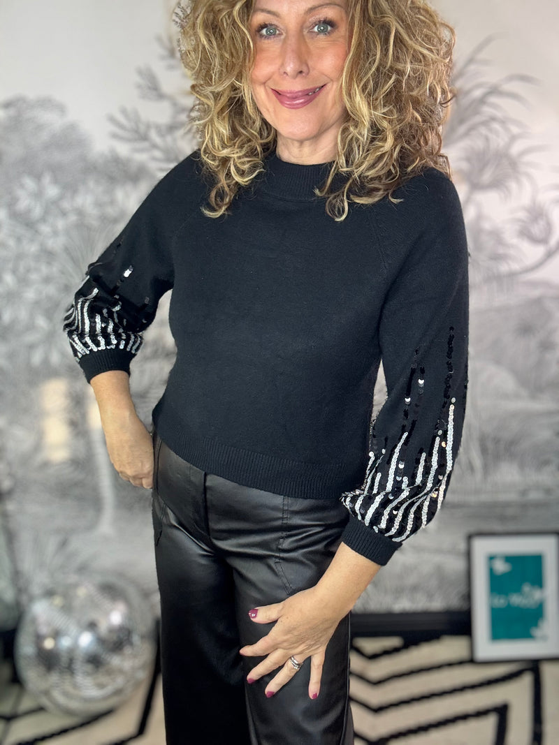 Jody Shorter length Fine Knit Jumper with Sequin Sleeve Detail