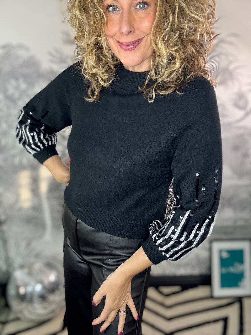 Jody Shorter length Fine Knit Jumper with Sequin Sleeve Detail