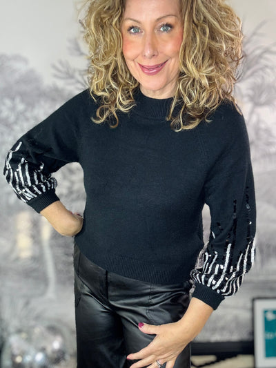 Jody Shorter length Fine Knit Jumper with Sequin Sleeve Detail