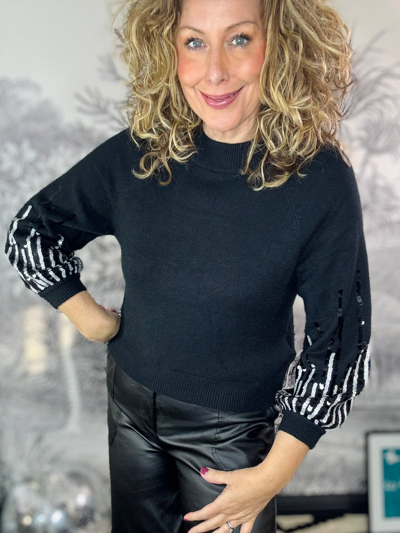 Jody Shorter length Fine Knit Jumper with Sequin Sleeve Detail