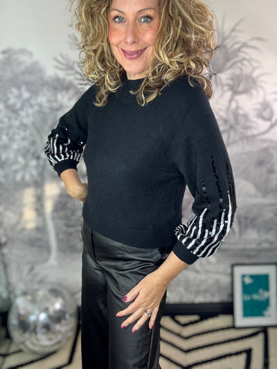 Jody Shorter length Fine Knit Jumper with Sequin Sleeve Detail