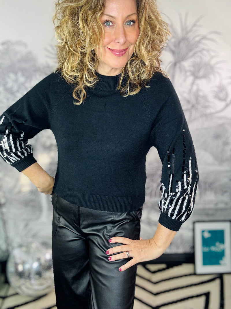 Jody Shorter length Fine Knit Jumper with Sequin Sleeve Detail