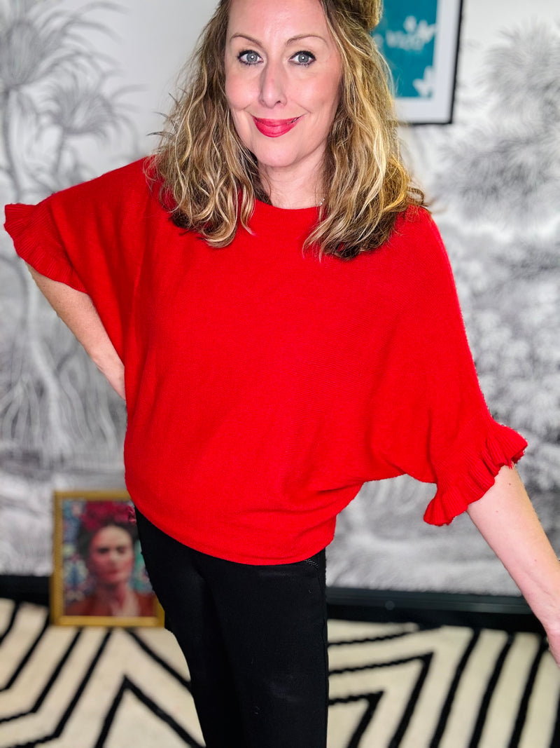 Dina Batwing Frill Sleeve Jumper