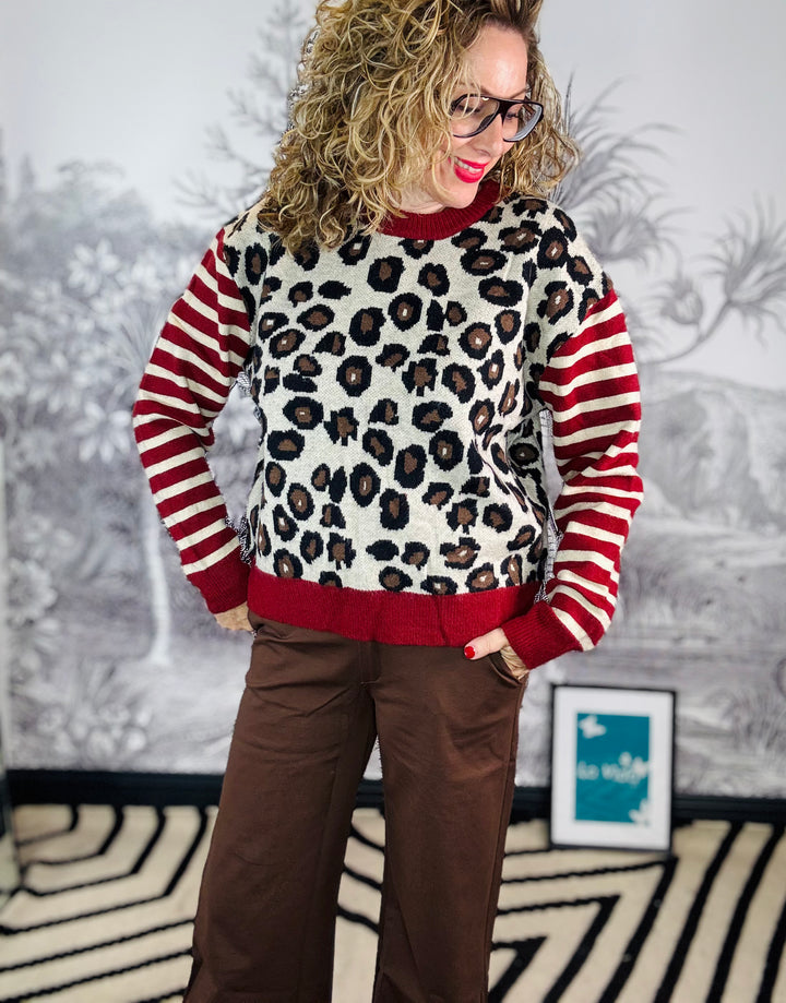 Lisa Leopard Stripe Sleeve Jumper